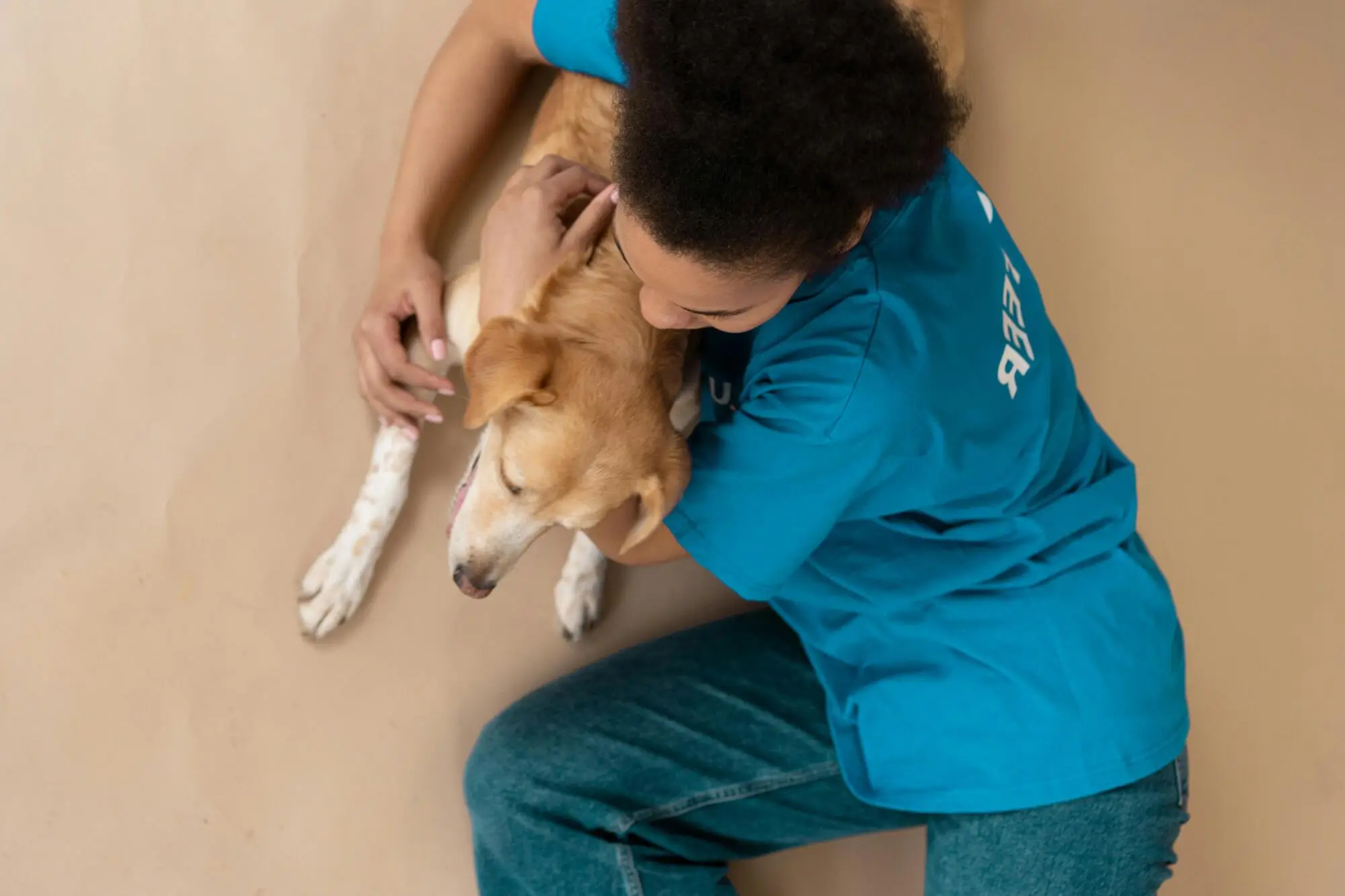 Difference Between Service, Emotional Support Animals and Pets: A Guide for Daytona Beach Landlords